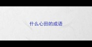 什么心田的成语