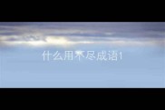 什么用不尽成语