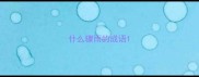 什么骤雨的成语