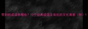 带阳的成语有哪些10个经典成语及背后的文化寓意附