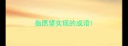 指愿望实现的成语