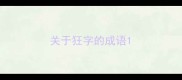 关于狂字的成语