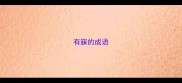 有寐的成语