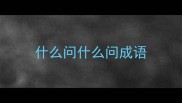 什么问什么问成语