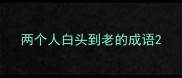 两个人白头到老的成语