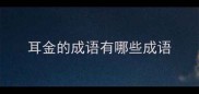 耳金的成语有哪些成语