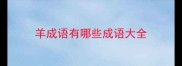 羊成语有哪些成语大全