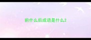 前什么后成语是什么