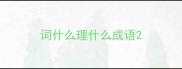 词什么理什么成语