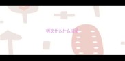 明亮什么什么成语