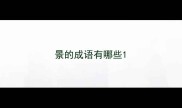 景的成语有哪些