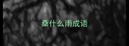 桑什么雨成语