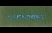 什么的风成语接龙