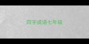 四字成语七年级