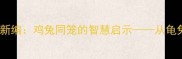 成语新编龟兔赛跑新编鸡兔同笼的智慧启示从龟兔成语看合作与成长