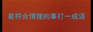 最符合情理的事打一成语