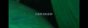 土地荒凉的成语
