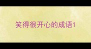 笑得很开心的成语