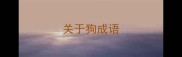 关于狗成语