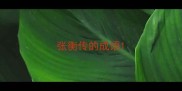 张衡传的成语