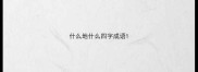 什么地什么四字成语