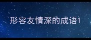 形容友情深的成语