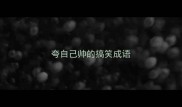 夸自己帅的搞笑成语