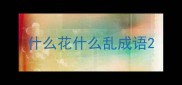什么花什么乱成语