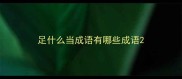 足什么当成语有哪些成语