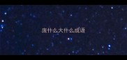 庞什么大什么成语