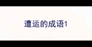 遭运的成语
