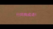 行同狗成语