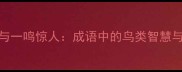 大字点睛与一鸣惊人成语中的鸟类智慧与汉字美学