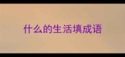 什么的生活填成语