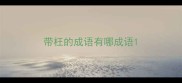 带枉的成语有哪成语