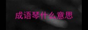 成语琴什么意思