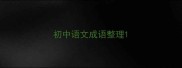 初中语文成语整理