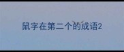 鼠字在第二个的成语