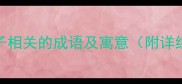 12个与马和猴子相关的成语及寓意附详细释义和用法