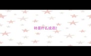 转是什么成语