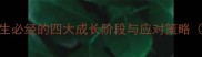 惊涛骇浪人生必经的四大成长阶段与应对策略附实战案例