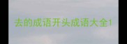 去的成语开头成语大全