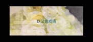 以法的成语