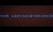 戈壁风沙见证千年文明从成语戈戈武夫看中国西北的生存智慧与旅游价值