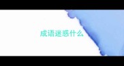 成语迷惑什么