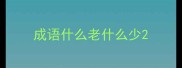成语什么老什么少
