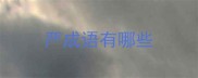 严成语有哪些