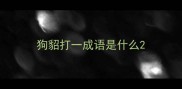 狗貂打一成语是什么