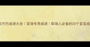 官官巴巴成语大全官场专用成语职场人必备的20个官官成语