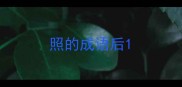 照的成语后
